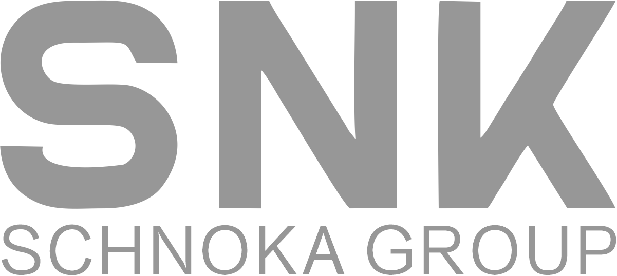 SNK施努卡NVH测试设备